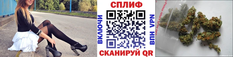 Наркошоп купить Метадон  Альфа ПВП  Псилоцибиновые грибы  Каннабис  Кодеин  ГАШИШ  Меф мяу мяу  Ясный