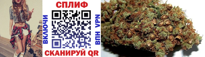 Купить Ясный Конопля Ganja